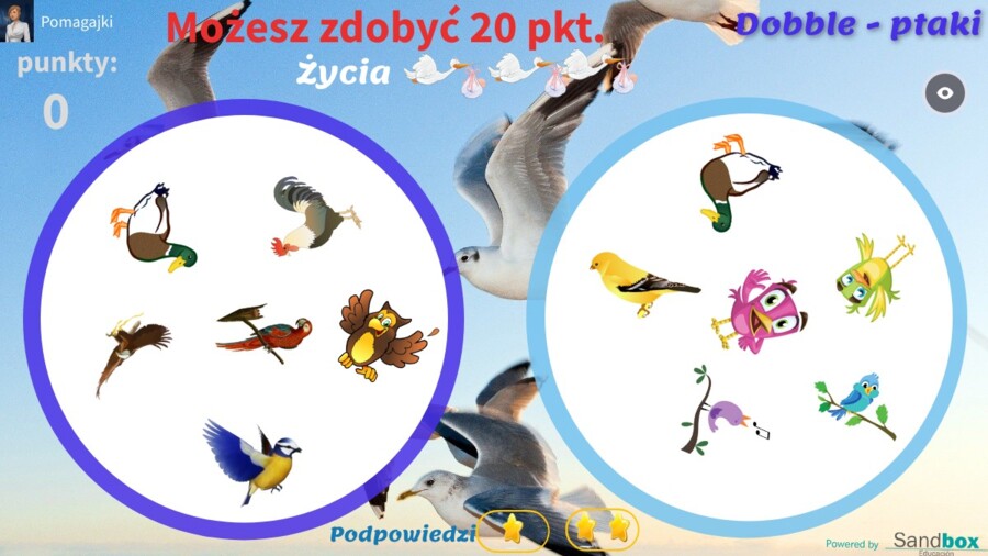 Dobble - ptaki, interaktywna gra, trening koncentracji i refleksu