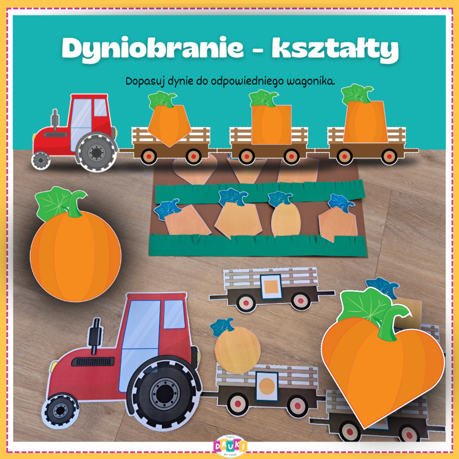 Dzień dyni - kształty
