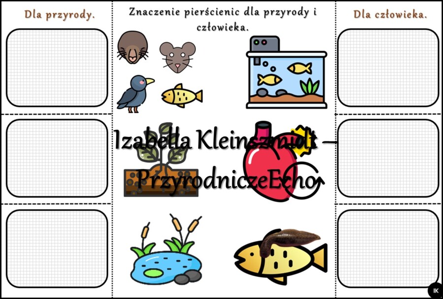 Notatka okienkowa/stacja zadaniowe/notatka interaktywna/notatka graficzna/karta pracy/sketchnotka „Pierścienice”, „Pierścienice-zwierzęta, które mają segmentowane ciało” w pdf. Biologia 5 , dział „Od parzydełkowców do pierścienic”. Materiał wykonany na p
