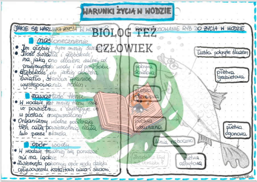 Warunki życia w wodzie - kolor