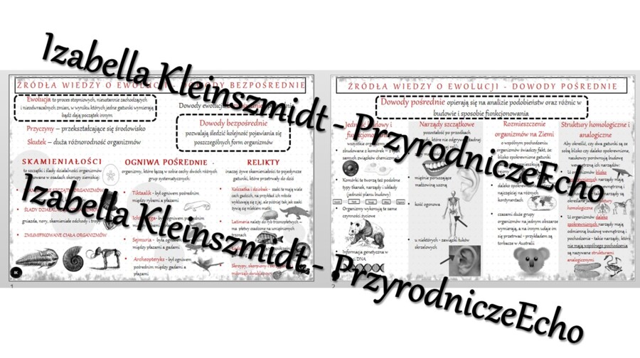 Sketchnotka - notatka „Źródła wiedzy o ewolucji” wykonana w power point do edycji. Biologia 8; „Ewolucja życia”