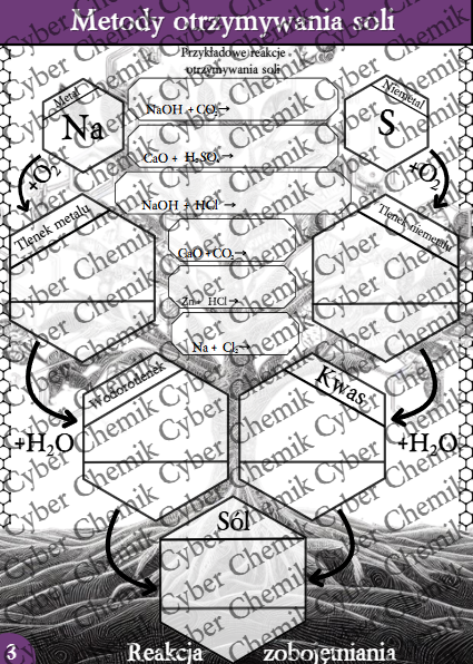 Karty pracy - Klasa 8. Chemia – Zestaw 6 kart pracy do działu 9 "Sole"