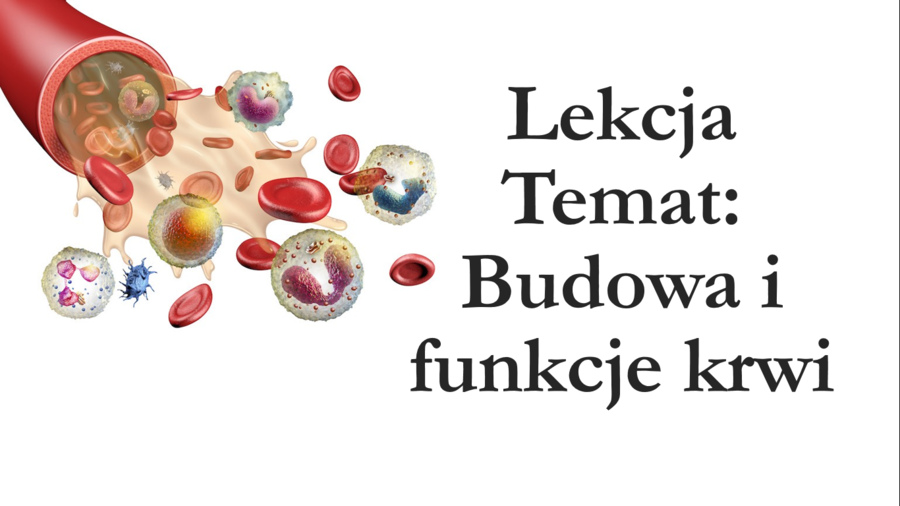 Klasa 7 - Budowa krwi - prezentacja