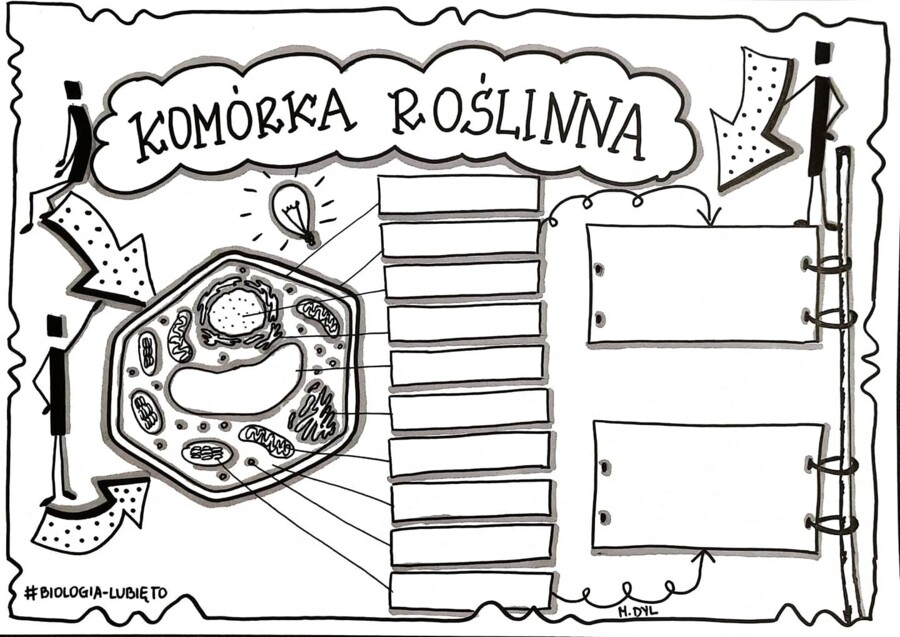 Klasa 5. Biologia. Komórka roślinna (dwie karty pracy)
