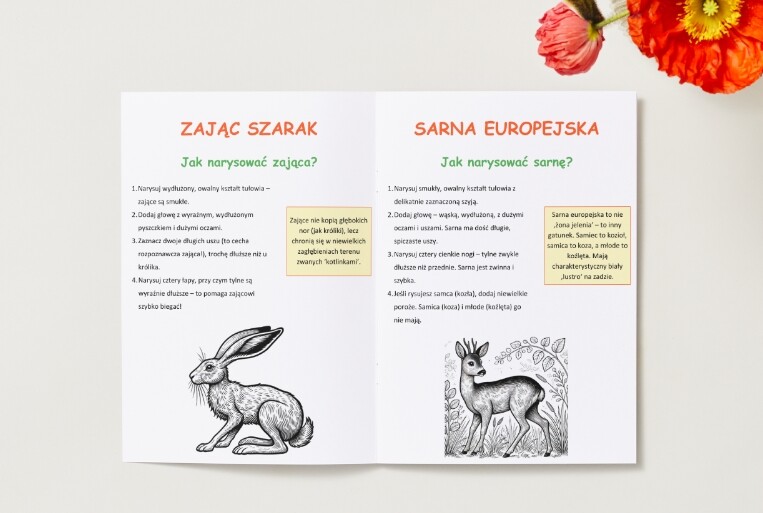 Kolorowanki z roślinami i zwierzętami. Gatunki ptaków, ssaków i drzew