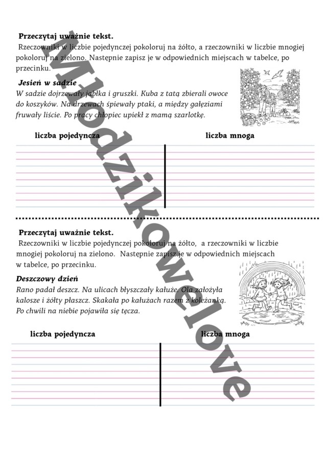 Gramatyka dla smyka- liczby rzeczownika