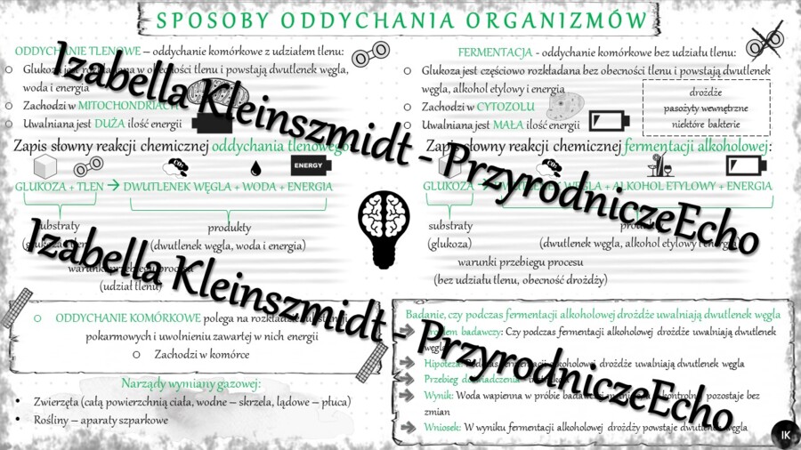 Sketchnotka - notatka „Sposoby oddychania organizmów” wykonana w power point do edycji. Biologia 5; „Budowa i czynności życiowe organizmów”
