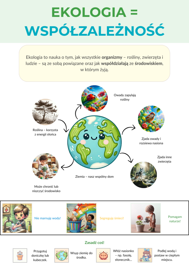 Plakaty edukacyjne. Gatunki roślin i zwierząt. Łańcuchy pokarmowe. Ekologia.