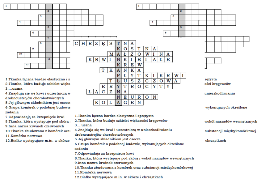 Logogoryf dla klasy 6 na podsumowanie lekcji biologii o tkance łącznej