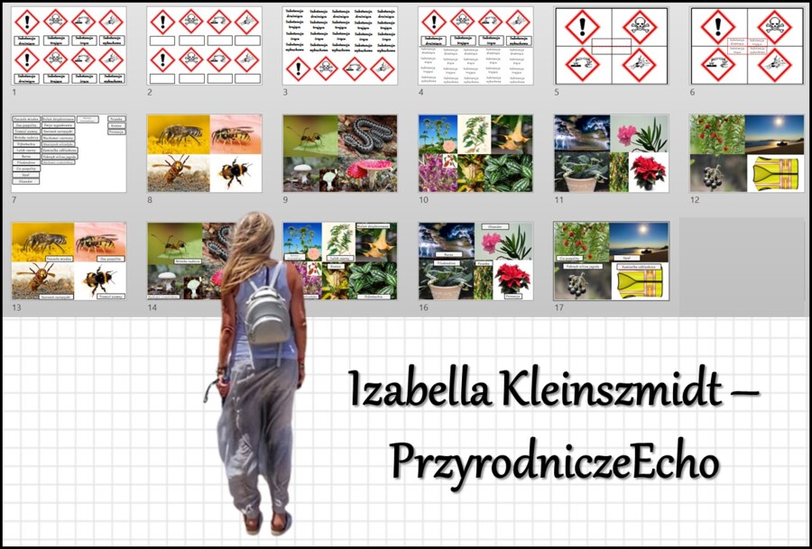 Materiał do zalaminowania/praca w grupach/stacje zadaniowe/układanka/puzzle „Jak postępować w niebezpiecznych sytuacjach?” w pdf. Przyroda, dział „Odkrywamy tajemnice zdrowia”.