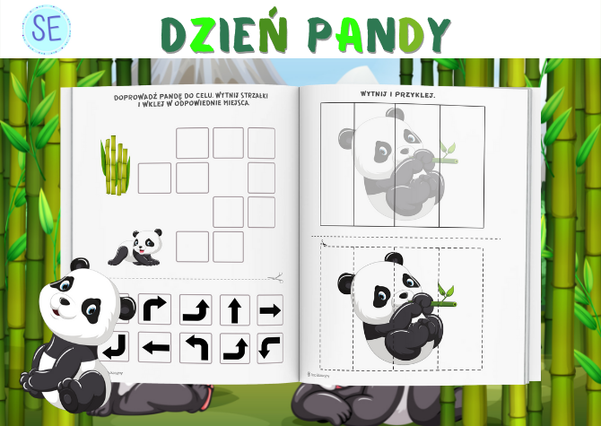 ?? Dzień Pandy ??