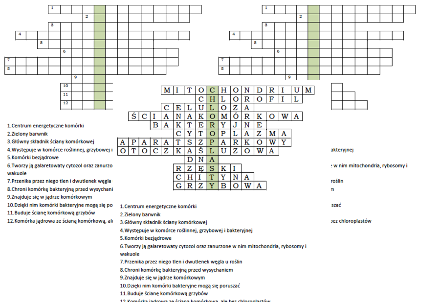 Logogryf na podsumowanie lekcji biologii w klasie 5 o komórce roślinnej