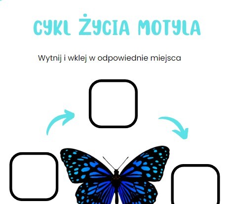 Zwierzęta i ich młode