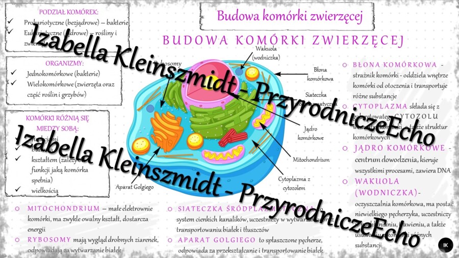 Sketchnotka - notatka „Budowa komórki zwierzęcej” wykonana w power point do edycji. Biologia 5; „Budowa i czynności życiowe organizmów”