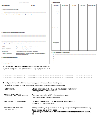 UKŁAD WYDALNICZY - KARTA PRACY (PO POLSKU I UKRAIŃSKU)