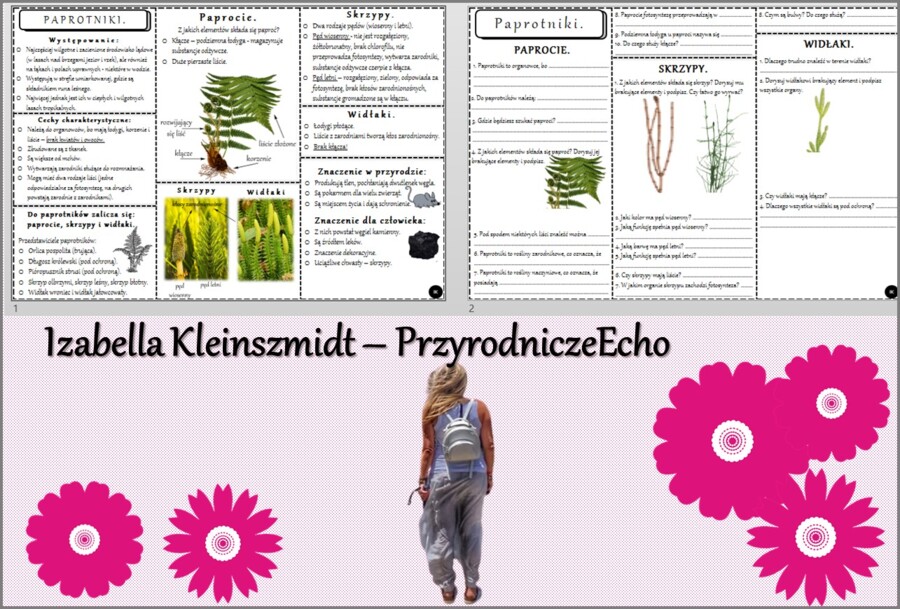 Minizestaw do tematu „Paprotniki” – sketchnotka + karta pracy w pdf + gratisowy link do prezentacji multimedialnej niekomercyjnej wykonanej w genial.ly do indywidualnego pobrania i użycia do celów niekomercyjnych. Biologia 5, Dział „Różnorodność roślin”.