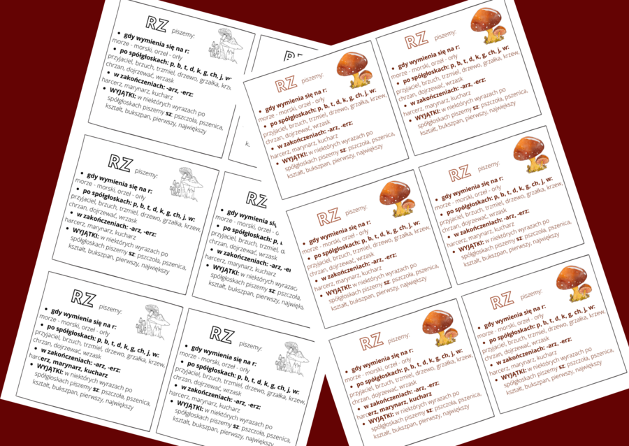 "RZ" - ZASADY ORTOGRAFICZNE - ortografia - WKLEJKA
