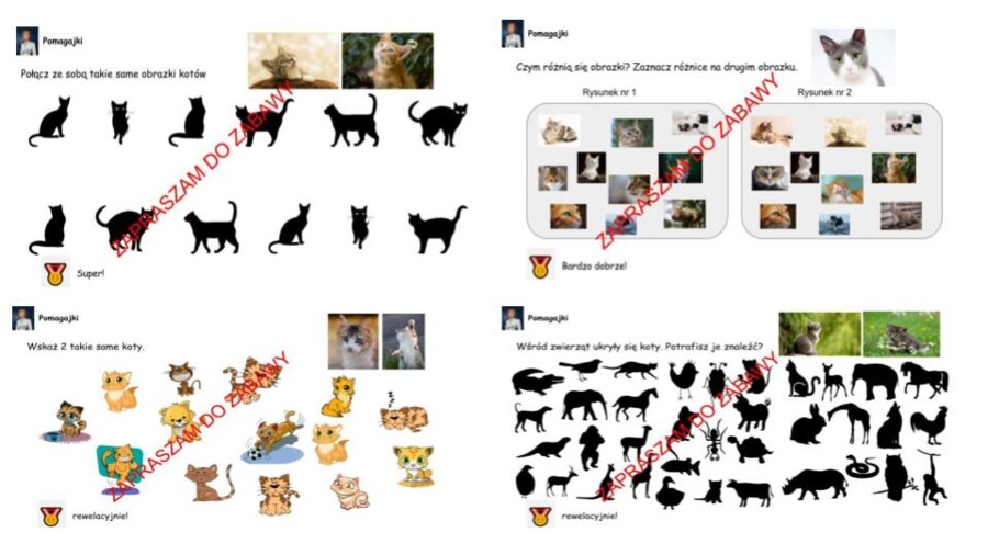 Zadanka na dzień kota