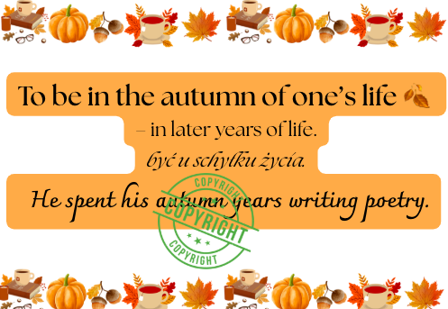 🍂 PAKIET GAZETEK „AUTUMN IDIOMS + AUTUMN ACTIVITIES” 🍂2 w cenie 1 | duży plakat Pani Jesieni|3 dodatkowe grafiki-niespodzianki| Wiele możliwości aranżacjiEdukacyjna i kolorowa dekoracja do klasy i nie tylko