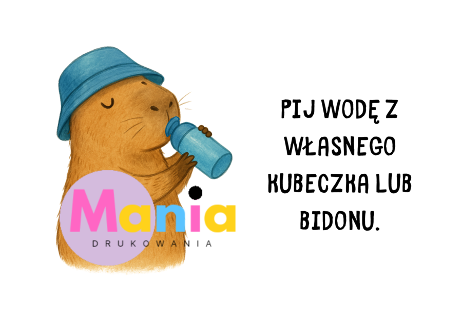 Kapibara w przedszkolu – Zasady higieny i dobre nawyki
