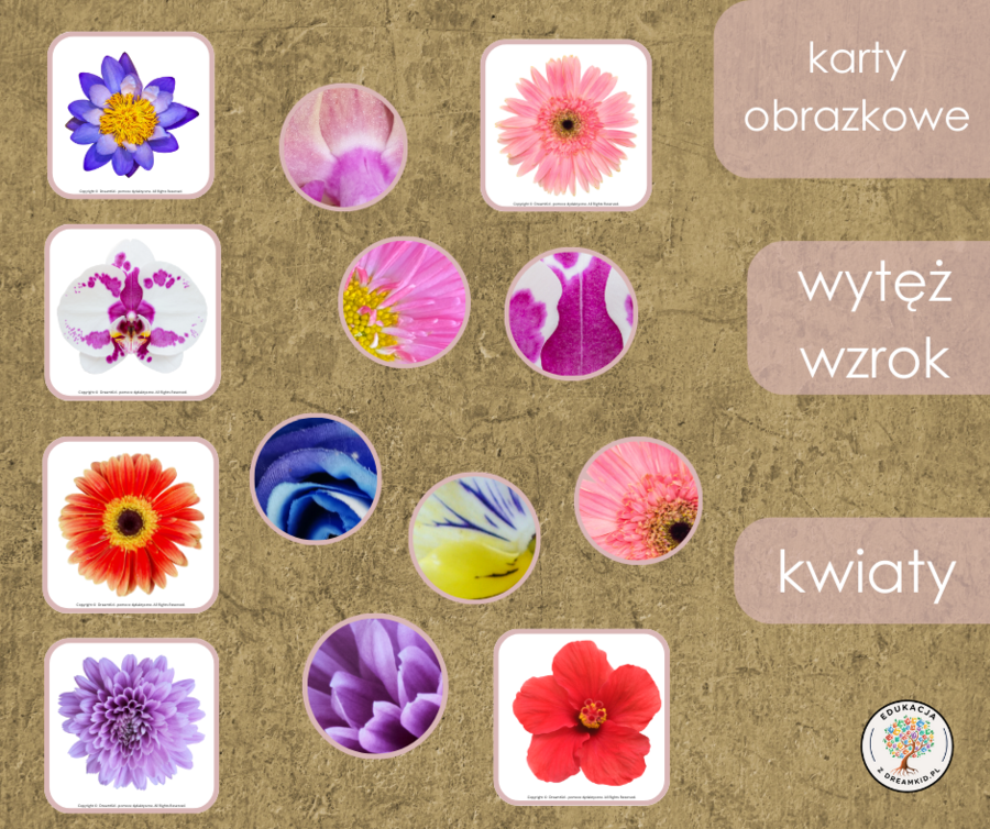 Gra - wytęż wzrok - kwiaty