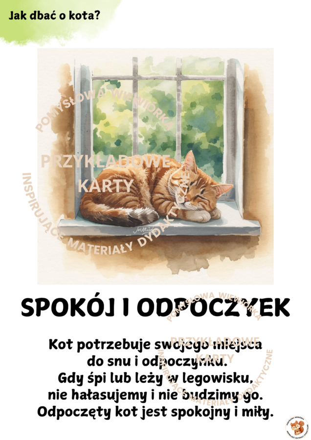 🐱 DZIEŃ KOTA