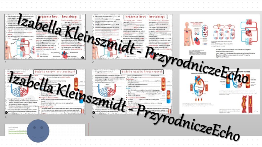Minizestaw na temat „Krążenie krwi” – sketchnotka + karta pracy w power point + gratisowy link do prezentacji multimedialnej niekomercyjnej wykonanej w genial.ly do indywidualnego pobrania i użycia do celów niekomercyjnych. Biologia 7, „Układ krwionośny”
