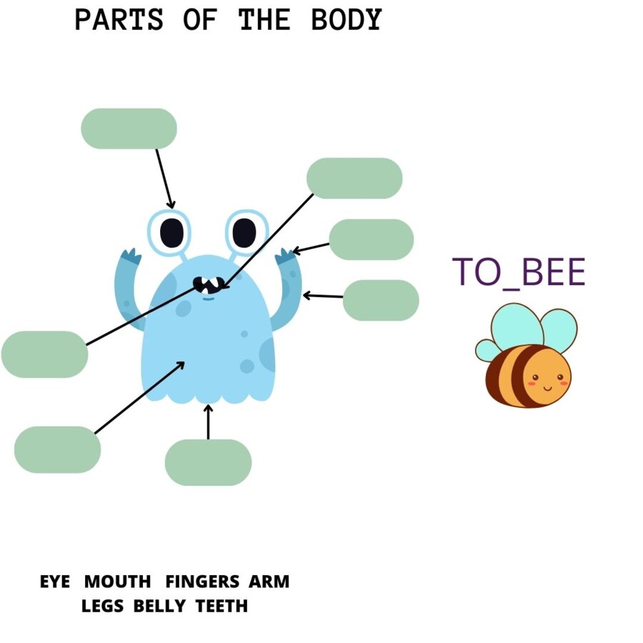 Body parts/ Parts of the body