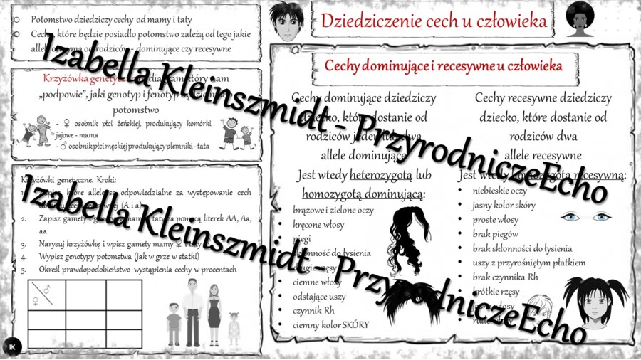 Sketchnotka - notatka „Dziedziczenie cech u człowieka” wykonana w power point do edycji. Biologia 8; „GENETYKA”