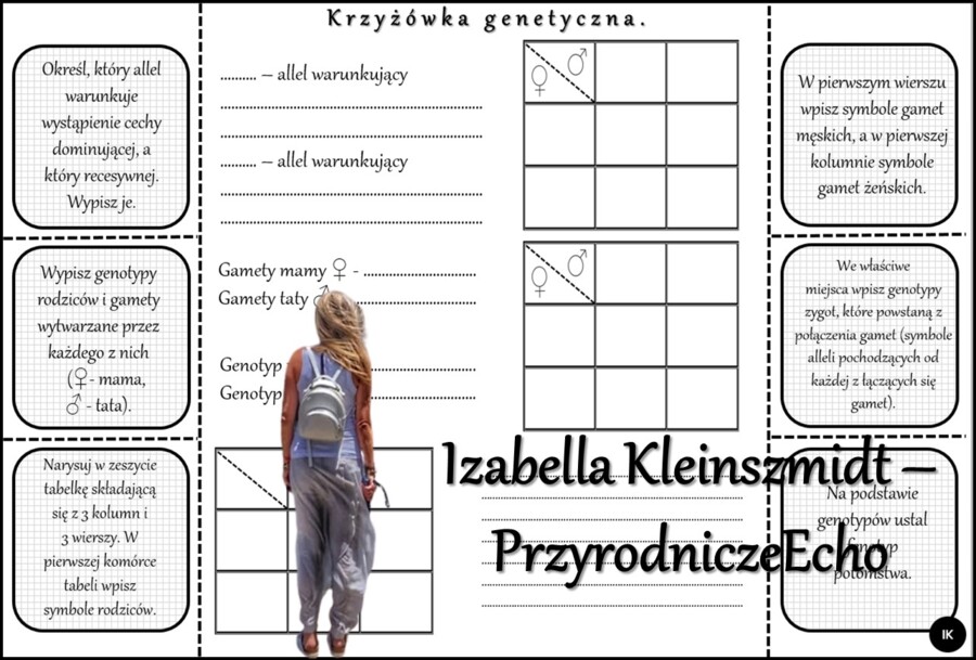 Notatka okienkowa/stacja zadaniowe/notatka/notatka graficzna/karta pracy/sketchnotka „Dziedziczenie cech u człowieka”, „Krzyżówki genetyczne”, „Jak zapisać krzyżówkę genetyczną?” w pdf. Biologia 8 dział „Genetyka”. Materiał wykonany na podstawie podręczn