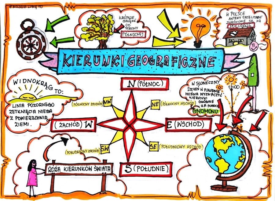 Klasa 4. Przyroda. Karta pracy. Kierunki geograficzne