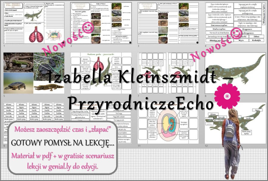 Pomysł na lekcję/karta pracy/stacje zadaniowe/ materiał do lekcji do tematu „Gady - kręgowce, które opanowały ląd” w pdf. W gratisie niekomercyjny scenariusz lekcji/pomysł na lekcję w programie genial.ly do edycji. Biologia 6. Dział „Kręgowce zmiennociep