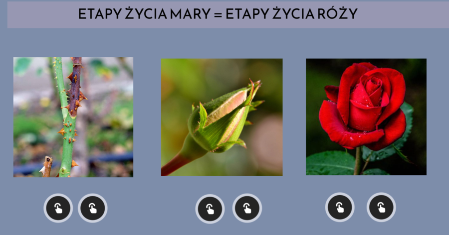 Tajemniczy ogród - cykl lekcji