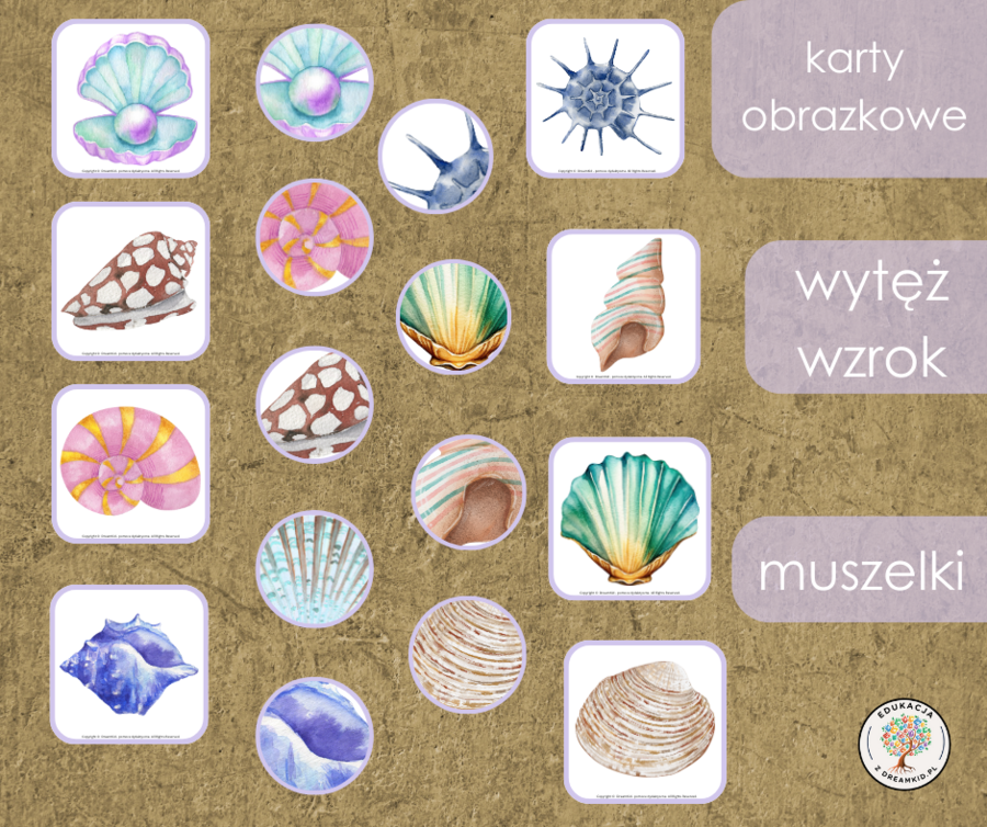 Gra - wytęż wzrok - muszelki