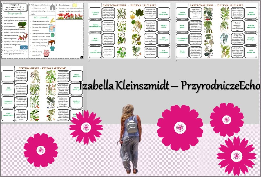 Sketchnotka/książeczka/notatka/wklejka/ściąga dla ucznia i przypomnienie dla nauczyciela/edukacja domowa. Temat „Przegląd i znaczenie roślin okrytonasiennych”. Materiał w pdf. Biologia 5, dział „Różnorodność roślin”. Nowość 2024/2025.