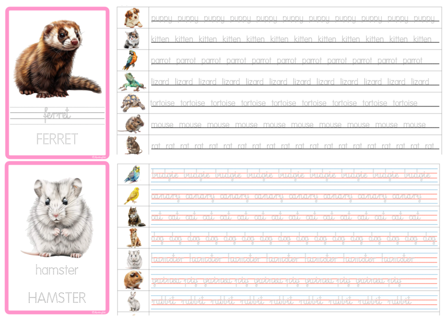 Nauka pisania po śladzie: Pets TRACING