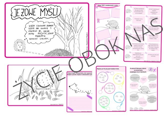 O JEŻU SŁÓW KILKA