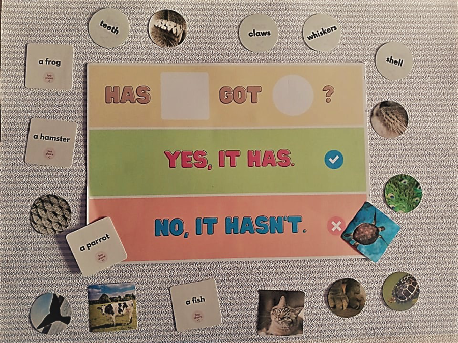 KLASA 3 zestaw ZWIERZĘTA + CZĘŚCI CIAŁA ZWIERZĄT + HAVE GOT