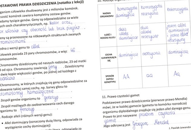 Podstawowe prawa dziedziczenia