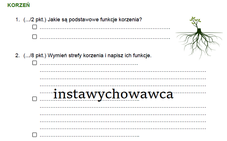 korzeń
