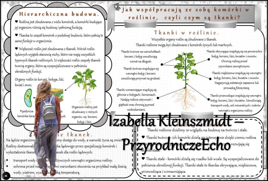 Całoroczny zestaw sketchnotek/notatek/streszczeń/wklejek/ściąg dla ucznia i nauczyciela/edukacja domowa w pdf. do biologii w klasie 5. Notatki zostały wykonane na podstawie podręcznika z wydawnictwa WSiP.