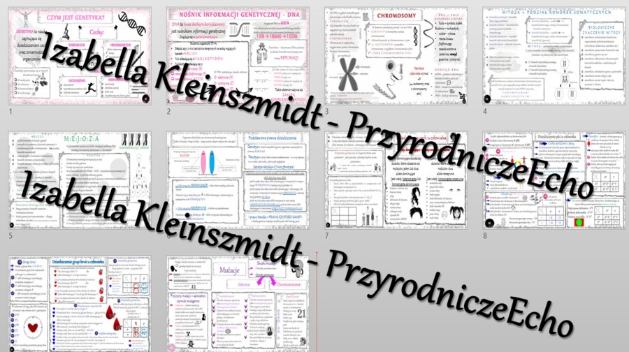 Zestaw sketchnotek – notatek do całego działu „GENETYKA” wykonanych w power point do edycji. Biologia 8