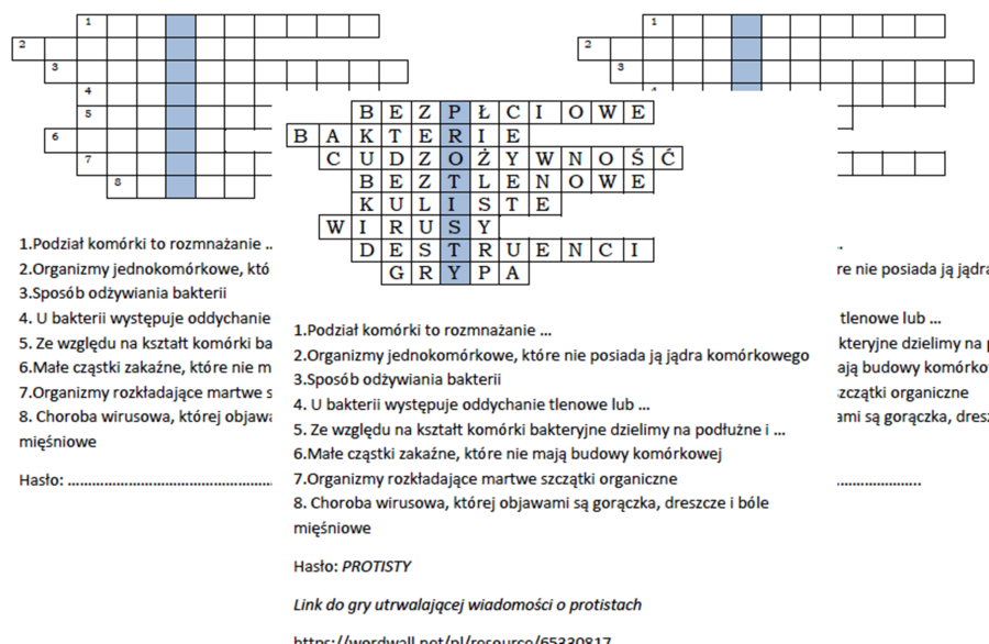 Logogryf na wprowadzenie do lekcji o protistach
