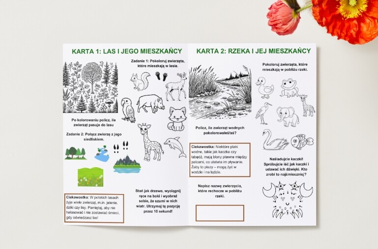 Karty pracy z kolorowankami. Środowisko naturalne (zwierzęta, rośliny, rzeka, las, góry)