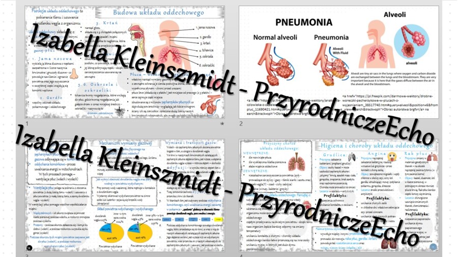 Zestaw sketchnotek – notatek do całego działu „Układ oddechowy” wykonanych w power point do edycji. Biologia 7