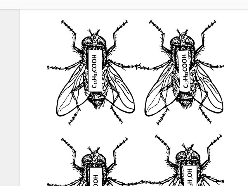 Muchy - pochodne węglowodorów