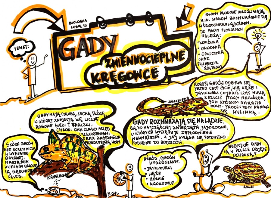 Klasa 6. Biologia. Gady (karta pracy kolorowa)