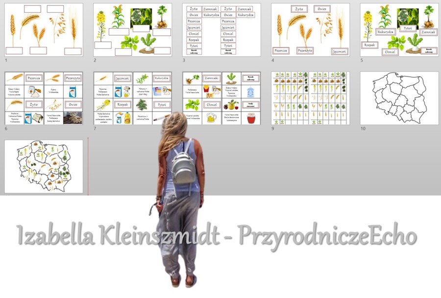 "Produkcja roślinna w Polsce/do zalaminowana/układanka/puzzle/rozmieszczenie upraw w Polsce/rozpoznawanie gatunków w pdf. „Produkcja roślinna”. Geografia 7 "Rolnictwo i przemysł Polski"