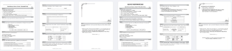 ZEMSTA Aleksander Fredro - literacka praca klasowa + klucz odpowiedzi