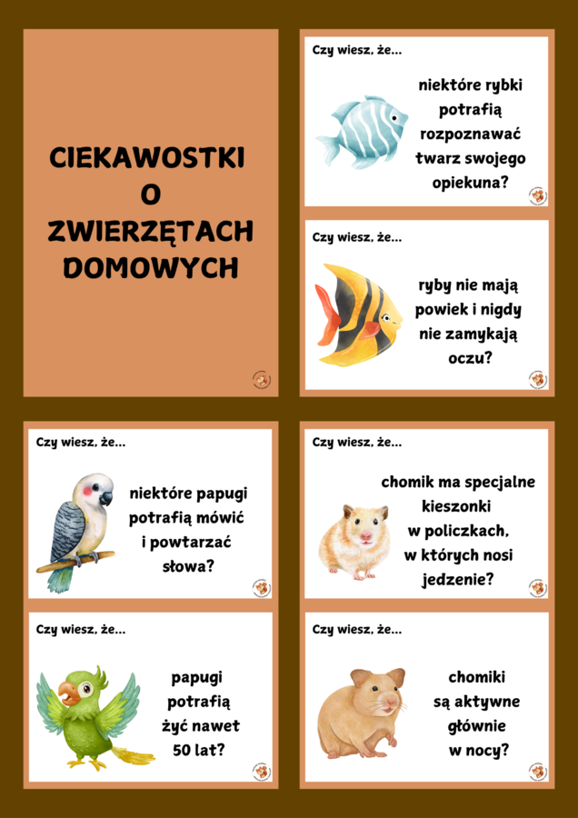 ZWIERZĘTA DOMOWE